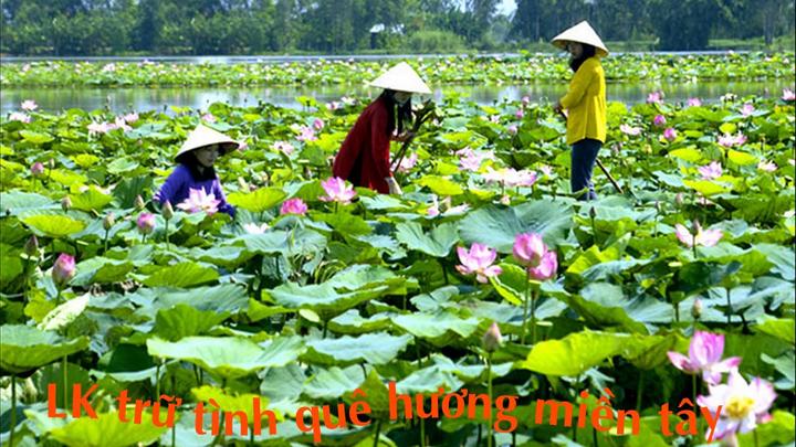 Video ngắn – Giải pháp truyền thông thông minh cho doanh nghiệp nhỏ