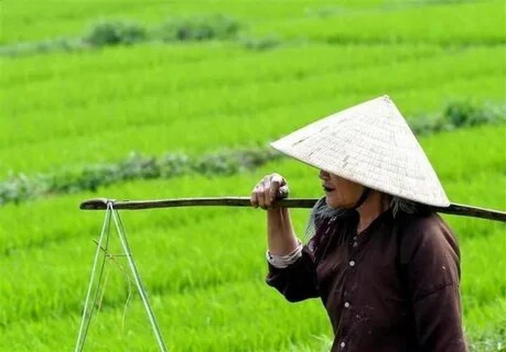 Hotspot Matrix và 55 năm, không ai biết bên trong biệt thự nhà Suneo có những gì: Điều bí