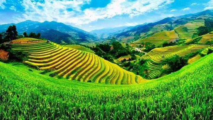 4 kiểu áo sơ mi dìm dáng, xỉn - Cảm hứng video marketing từ Hotspot Matrix